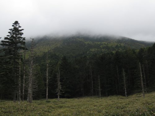 登山道